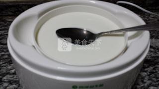 酸奶蜜豆冰棒