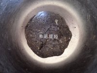 黑芝麻核桃司康的做法步驟3