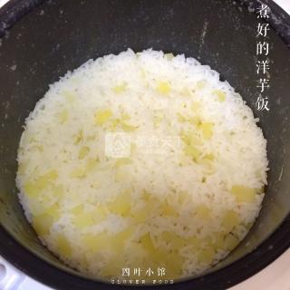 【四葉小館】寶寶土豆飯的做法步驟：3