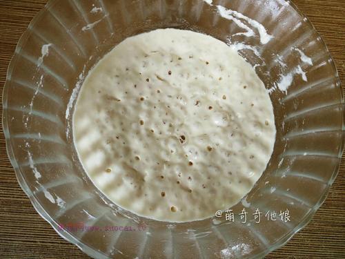 漢堡胚（波蘭種poolish）的做法