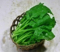 【涼拌菠菜梗】涼拌菠菜梗的做法