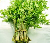 【野芹菜的功效與作用】野芹菜的營養價值_野芹菜怎麼做好吃