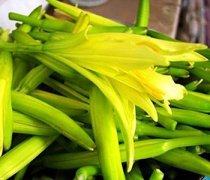 【新鮮黃花菜怎麼處理】黃花菜的營養價值_黃花菜有毒嗎