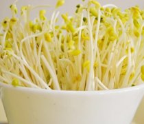 【綠豆芽怎麼發】綠豆芽的製作