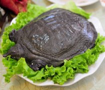 【喝甲魚血能治陽痿嗎】治陽痿的食物_治陽痿的穴位