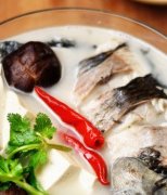 【鯽魚湯】鯽魚湯的功效_鯽魚湯